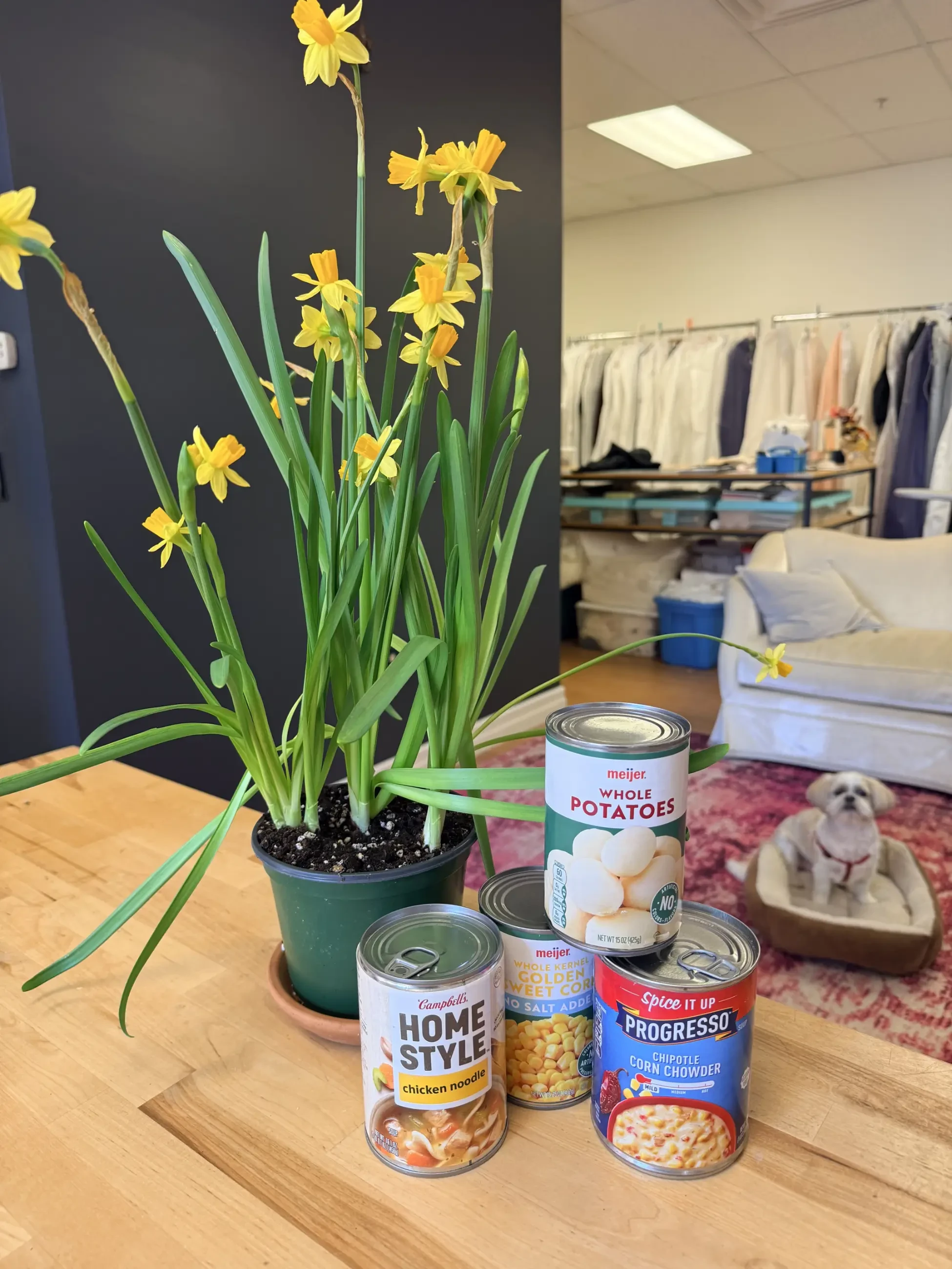 food drive banner image