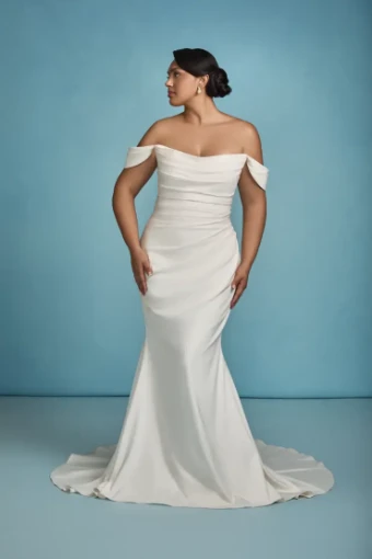 Blue Willow by Anne Barge Naomi - Crepe Back Satin #0 default Silk White thumbnail